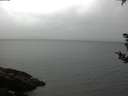 ./images/koeye/fitz-hugh/20180908/fitz-hugh20180908_083501.jpg