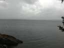./images/koeye/fitz-hugh/20180908/fitz-hugh20180908_084001.jpg