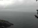 ./images/koeye/fitz-hugh/20180908/fitz-hugh20180908_084501.jpg