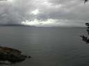 ./images/koeye/fitz-hugh/20180908/fitz-hugh20180908_090501.jpg