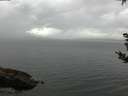 ./images/koeye/fitz-hugh/20180908/fitz-hugh20180908_091001.jpg