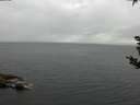 ./images/koeye/fitz-hugh/20180908/fitz-hugh20180908_104002.jpg