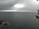 ./images/koeye/fitz-hugh/20180908/fitz-hugh20180908_104502.jpg
