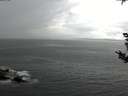 ./images/koeye/fitz-hugh/20180908/fitz-hugh20180908_105502.jpg