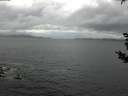 ./images/koeye/fitz-hugh/20180908/fitz-hugh20180908_113501.jpg