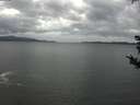./images/koeye/fitz-hugh/20180908/fitz-hugh20180908_123501.jpg