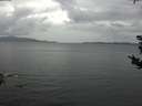./images/koeye/fitz-hugh/20180908/fitz-hugh20180908_135502.jpg