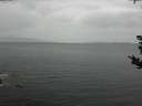 ./images/koeye/fitz-hugh/20180908/fitz-hugh20180908_140502.jpg