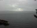 ./images/koeye/fitz-hugh/20180908/fitz-hugh20180908_162502.jpg