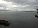 ./images/koeye/fitz-hugh/20180908/fitz-hugh20180908_164502.jpg