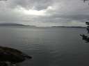 ./images/koeye/fitz-hugh/20180908/fitz-hugh20180908_175501.jpg