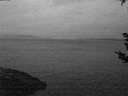 ./images/koeye/fitz-hugh/20180909/fitz-hugh20180909_062001.jpg