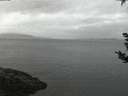 ./images/koeye/fitz-hugh/20180909/fitz-hugh20180909_062502.jpg