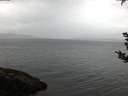 ./images/koeye/fitz-hugh/20180909/fitz-hugh20180909_065502.jpg