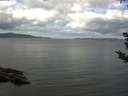 ./images/koeye/fitz-hugh/20180909/fitz-hugh20180909_105002.jpg