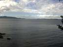 ./images/koeye/fitz-hugh/20180909/fitz-hugh20180909_113501.jpg