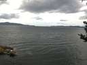 ./images/koeye/fitz-hugh/20180909/fitz-hugh20180909_162002.jpg