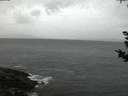 ./images/koeye/fitz-hugh/20180909/fitz-hugh20180909_202501.jpg