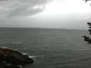 ./images/koeye/fitz-hugh/20180910/fitz-hugh20180910_090502.jpg