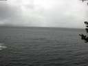 ./images/koeye/fitz-hugh/20180910/fitz-hugh20180910_142501.jpg