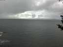 ./images/koeye/fitz-hugh/20180910/fitz-hugh20180910_143501.jpg