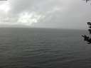 ./images/koeye/fitz-hugh/20180910/fitz-hugh20180910_144001.jpg