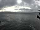 ./images/koeye/fitz-hugh/20180910/fitz-hugh20180910_154502.jpg