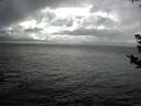 ./images/koeye/fitz-hugh/20180910/fitz-hugh20180910_155502.jpg