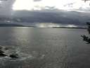 ./images/koeye/fitz-hugh/20180910/fitz-hugh20180910_164501.jpg