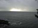 ./images/koeye/fitz-hugh/20180910/fitz-hugh20180910_175502.jpg