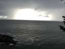 ./images/koeye/fitz-hugh/20180910/fitz-hugh20180910_180502.jpg