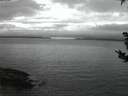 ./images/koeye/fitz-hugh/20180911/fitz-hugh20180911_062002.jpg
