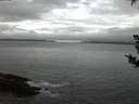 ./images/koeye/fitz-hugh/20180911/fitz-hugh20180911_062502.jpg