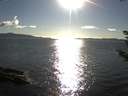 ./images/koeye/fitz-hugh/20180911/fitz-hugh20180911_174502.jpg