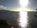 ./images/koeye/fitz-hugh/20180911/fitz-hugh20180911_181002.jpg