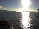 ./images/koeye/fitz-hugh/20180911/fitz-hugh20180911_181502.jpg