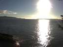 ./images/koeye/fitz-hugh/20180911/fitz-hugh20180911_182502.jpg