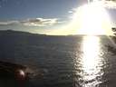 ./images/koeye/fitz-hugh/20180911/fitz-hugh20180911_185002.jpg