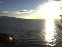 ./images/koeye/fitz-hugh/20180911/fitz-hugh20180911_185501.jpg