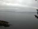./images/koeye/fitz-hugh/20180912/fitz-hugh20180912_065501.jpg