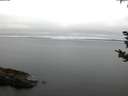 ./images/koeye/fitz-hugh/20180912/fitz-hugh20180912_070501.jpg