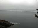 ./images/koeye/fitz-hugh/20180912/fitz-hugh20180912_080501.jpg