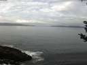 ./images/koeye/fitz-hugh/20180912/fitz-hugh20180912_095501.jpg