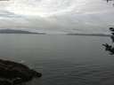 ./images/koeye/fitz-hugh/20180912/fitz-hugh20180912_104001.jpg
