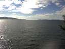 ./images/koeye/fitz-hugh/20180912/fitz-hugh20180912_145502.jpg