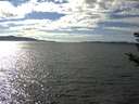 ./images/koeye/fitz-hugh/20180912/fitz-hugh20180912_153502.jpg