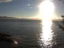 ./images/koeye/fitz-hugh/20180912/fitz-hugh20180912_183502.jpg
