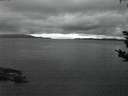 ./images/koeye/fitz-hugh/20180913/fitz-hugh20180913_062502.jpg