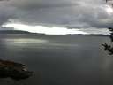 ./images/koeye/fitz-hugh/20180913/fitz-hugh20180913_080501.jpg