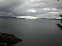 ./images/koeye/fitz-hugh/20180913/fitz-hugh20180913_090502.jpg